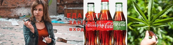 стаф Алзамай