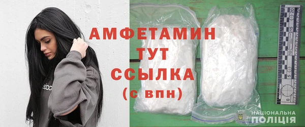 стаф Алзамай
