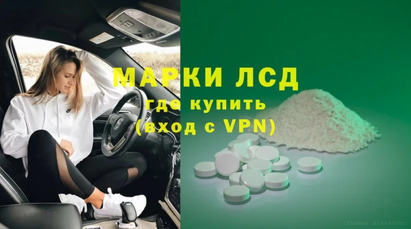 индика Алексин