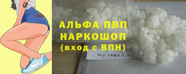 стаф Алзамай