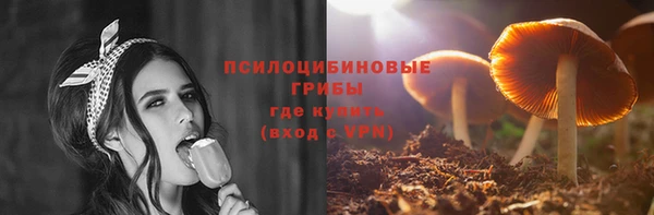 индика Алексин