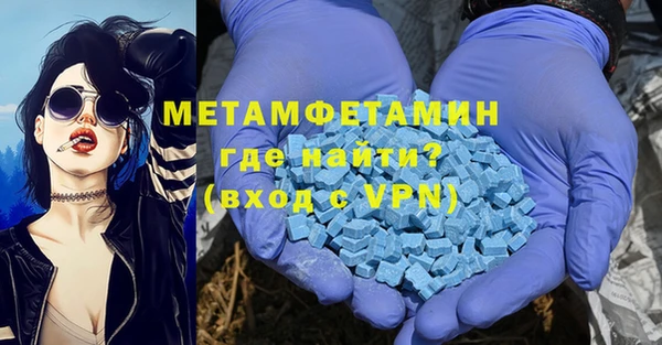 индика Алексин