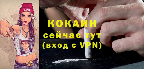 индика Алексин