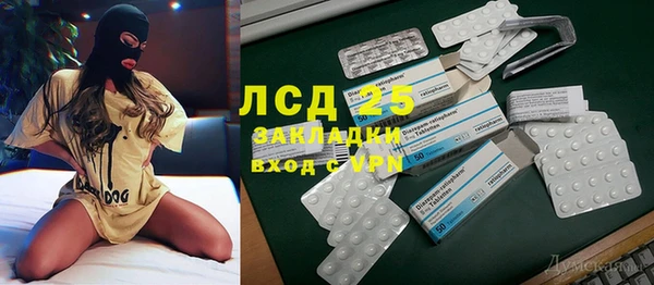 индика Алексин