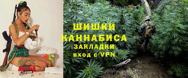 стаф Алзамай