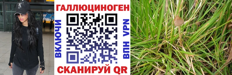 Псилоцибиновые грибы Magic Shrooms  Билибино 